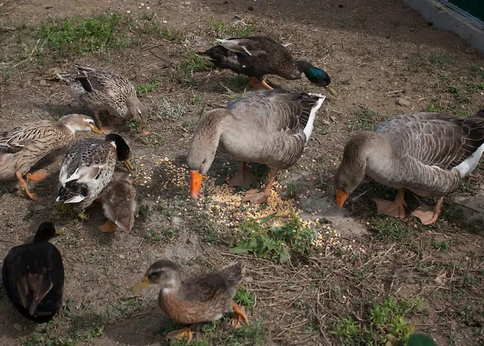 Dom wakacyjny Surf Beach_santa Barbara Secret Gardens